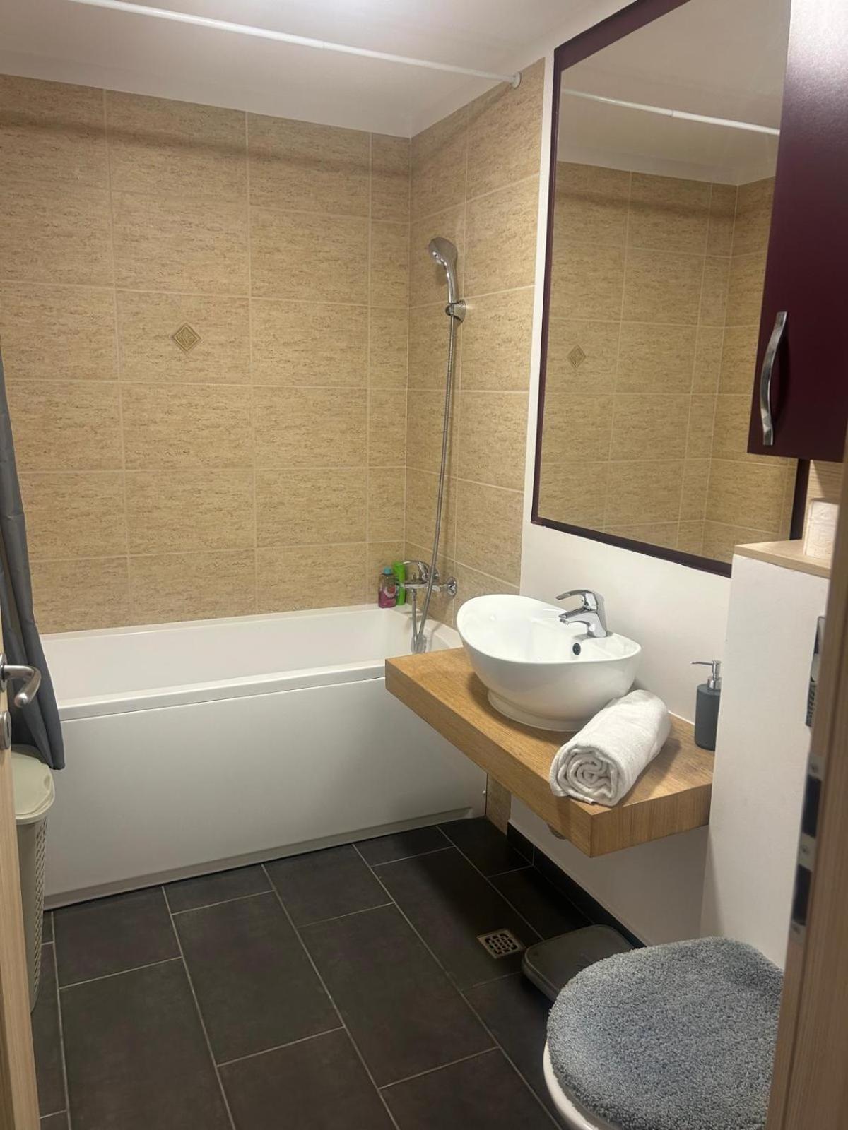 Selina Transilvania Apartament